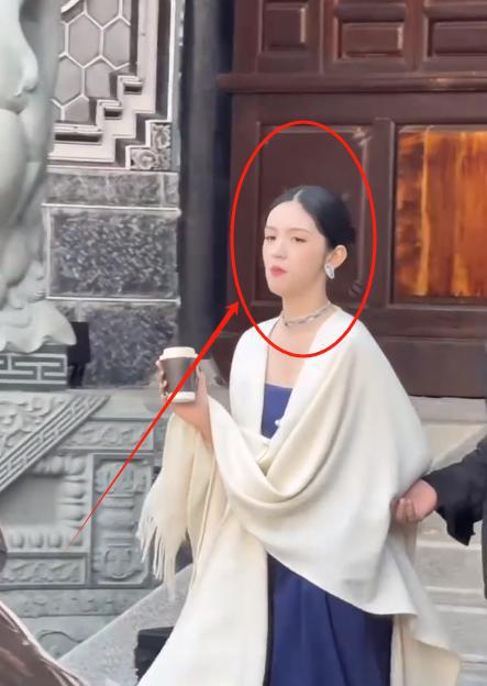 了周也表情怪异杨千嬅胖了热巴扛住了K8凯发登录入口迪奥大秀：王子文肿(图13)