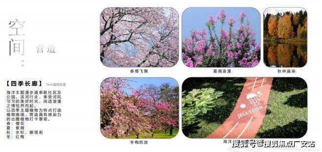 025楼盘评测_售楼处电话丨房价丨详情丨地址丨楼盘百科详情k8凯发全站国贸虹桥璟上(国贸虹桥璟上售楼处)首页网站-2(图4)